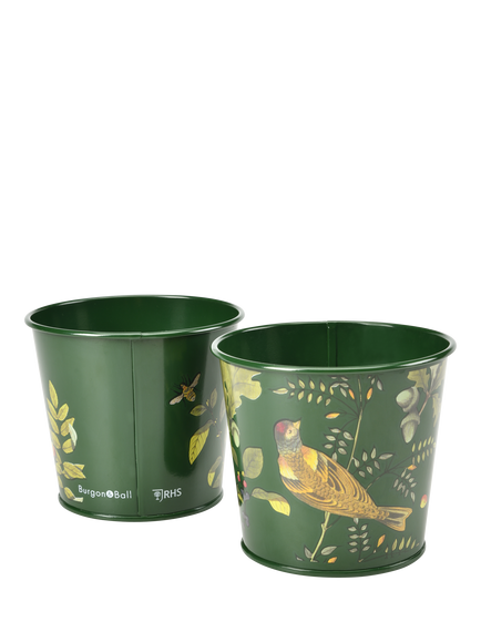 Burgon & Ball RHS Woodland Wonders Herb Pots, Set of 2, Green/Multi - view 2, Multi