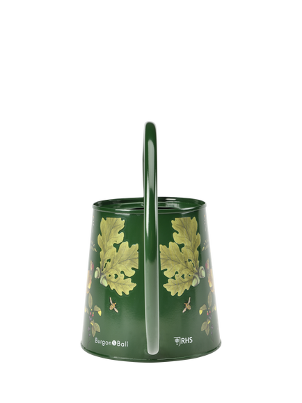 Burgon & Ball RHS Woodland Wonders Indoor Watering Can, 1L, Green - view 2, Multi