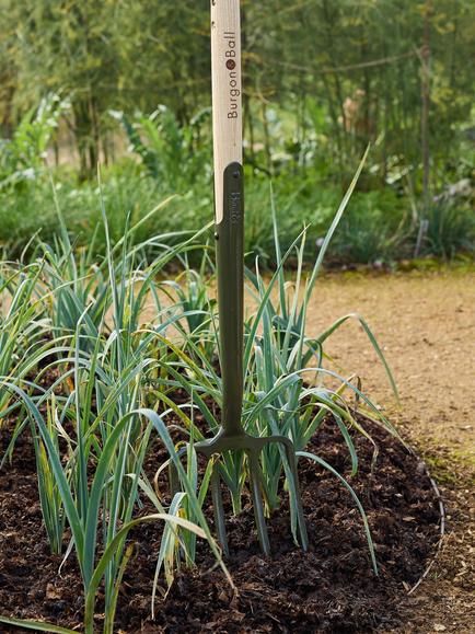 Burgon & Ball BoronGreen RHS Digging Fork, Green - view 2, Green