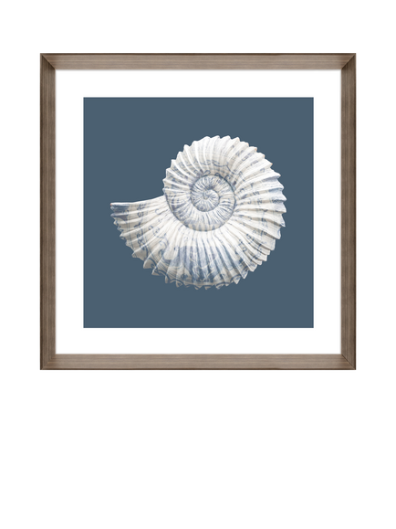 Brookpace Lascelles 'Coastal' Framed Prints, Set of 2, 44 x 44cm, Blue - view 2, Blue