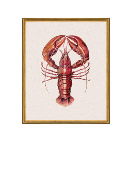 Brookpace Lascelles 'Lobster' Framed Canvas Print, 38 x 31cm, Red, Red