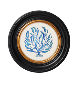 Brookpace Lascelles 'Ocean Feather' Round Framed Print, 36cm, Blue, Blue