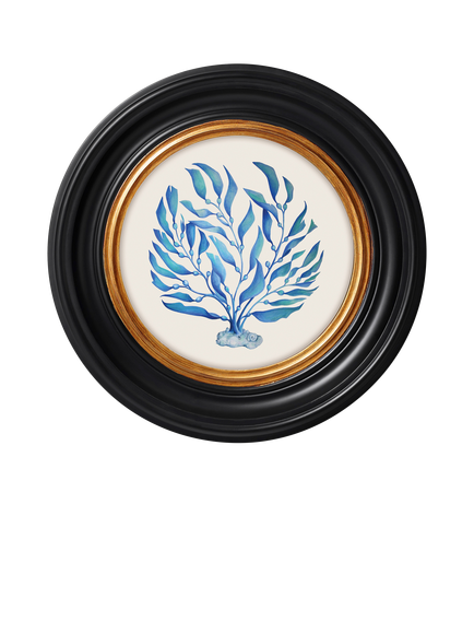 Brookpace Lascelles 'Ocean Feather' Round Framed Print, 36cm, Blue, Blue