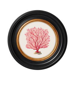 Brookpace Lascelles 'Sea Flame' Round Framed Print, 36cm, Red, Red