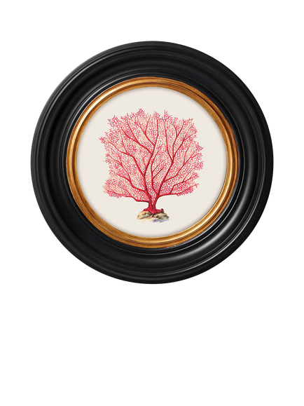 Brookpace Lascelles 'Sea Flame' Round Framed Print, 36cm, Red, Red