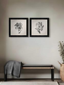 Brookpace Lascelles 'Tulip I' Framed Print, 59 x 49cm, Black/White - view 2, Black