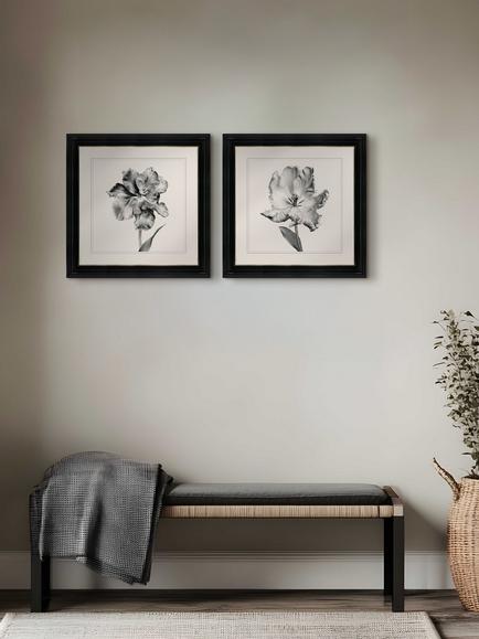 Brookpace Lascelles 'Tulip II' Framed Print, 59 x 49cm, Black/White - view 2, Black
