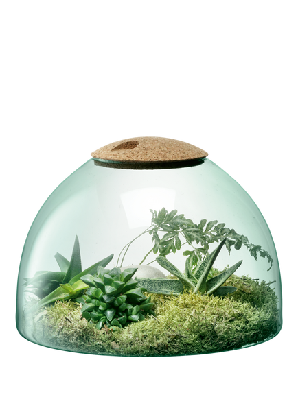 LSA International Canopy Recycled Glass Closed Garden with Cork Lid, H22cm - view 2, Cork