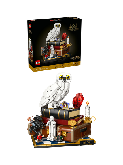 LEGO Harry Potter 76466 Philosopher's Stone: Collectors’ Edition Model Kit, Multi