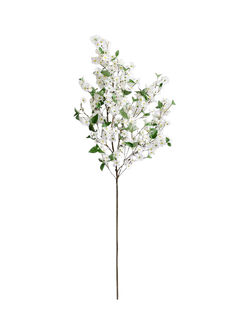 Pottery Barn Blooming Dogwood Flowering Branch, H137cm, White