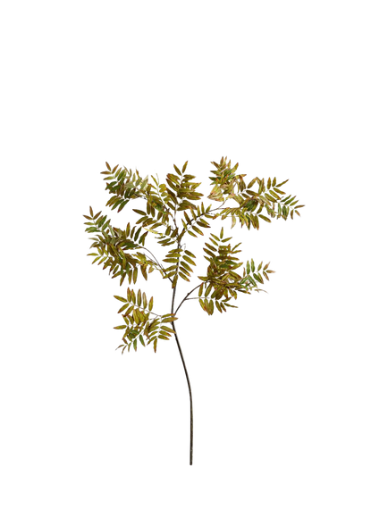 Pottery Barn Artificial Leaf Turning Sumac Branch, H160cm, Green, Green