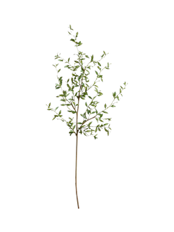 Pottery Barn Mini Green Leaf Branch, H97cm, Green