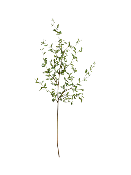 Pottery Barn Mini Green Leaf Branch, H127cm, Green