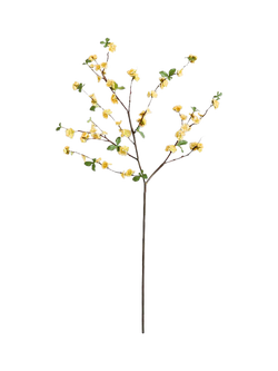 Pottery Barn Quince Branch, H122cm, Yellow