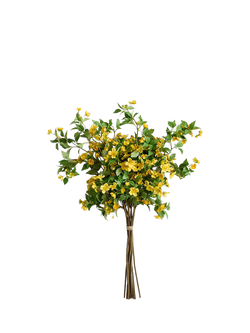 Pottery Barn Wild Poppy Bundle, H107cm, Yellow