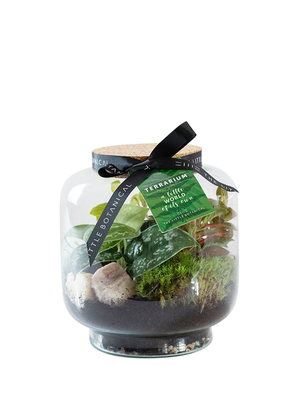 The Little Botanical Round Glass Terrarium, Multi