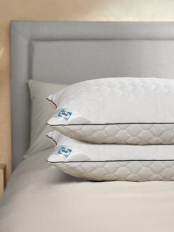 Sealy Deeply Full Standard Pillow Pair, Medium/Firm, White