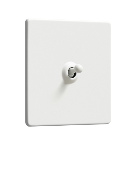 Dowsing & Reynolds Soft White Single Toggle Switch, White Toggle
