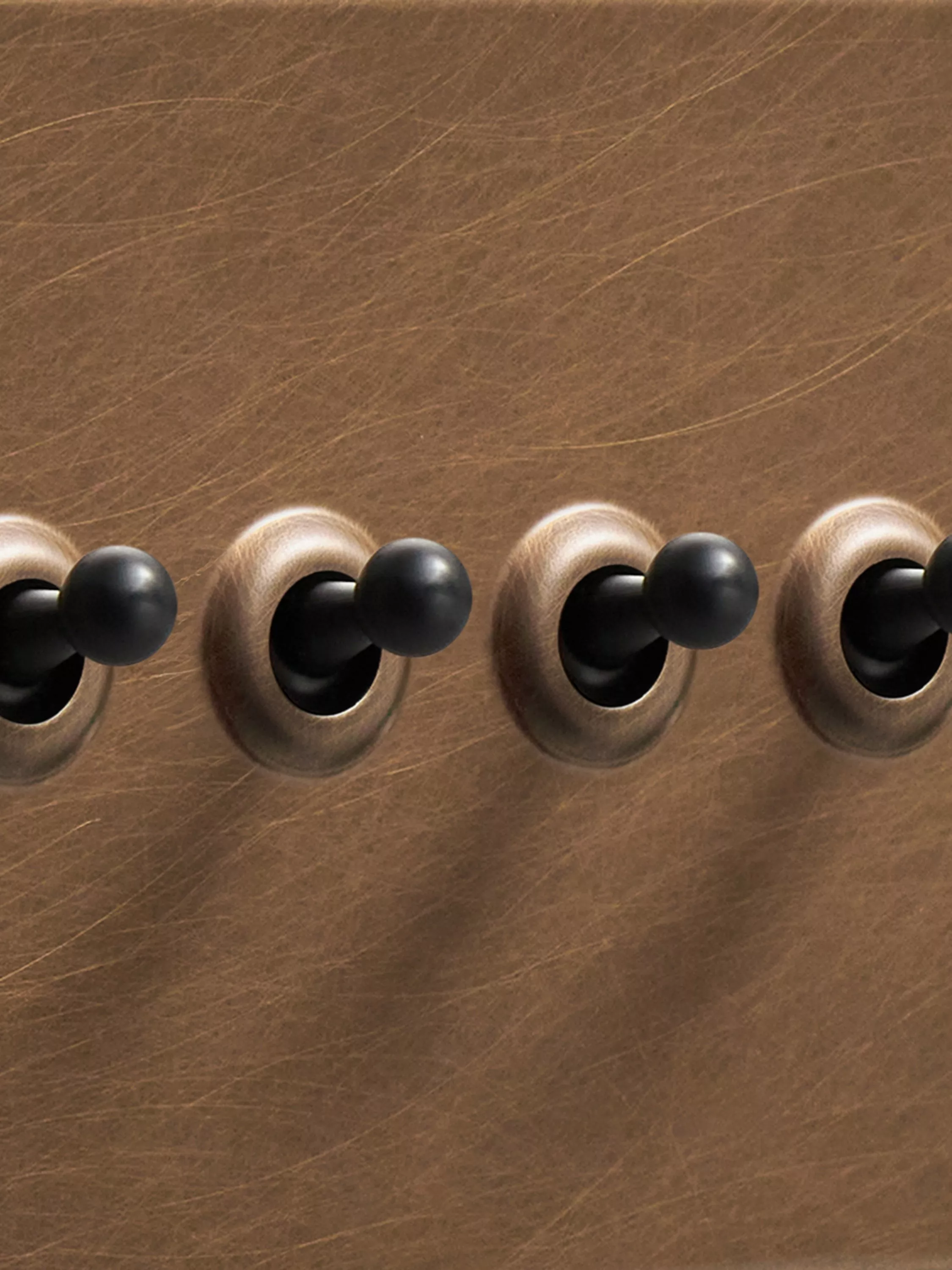 Close-up of brushed bronze double toggle light switch with brass knobs, vintage electrical wall plate detail