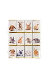 House of Dorchester Rabbit Milk Chocolate Slims, Pack of 12, 120g