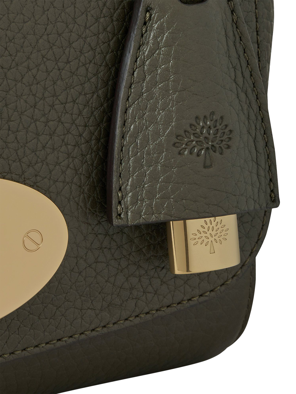 Product image 6 of 6, which shows Mulberry Lily Heavy Grain Leather Chain Strap Shoulder Bag, Juniper Green