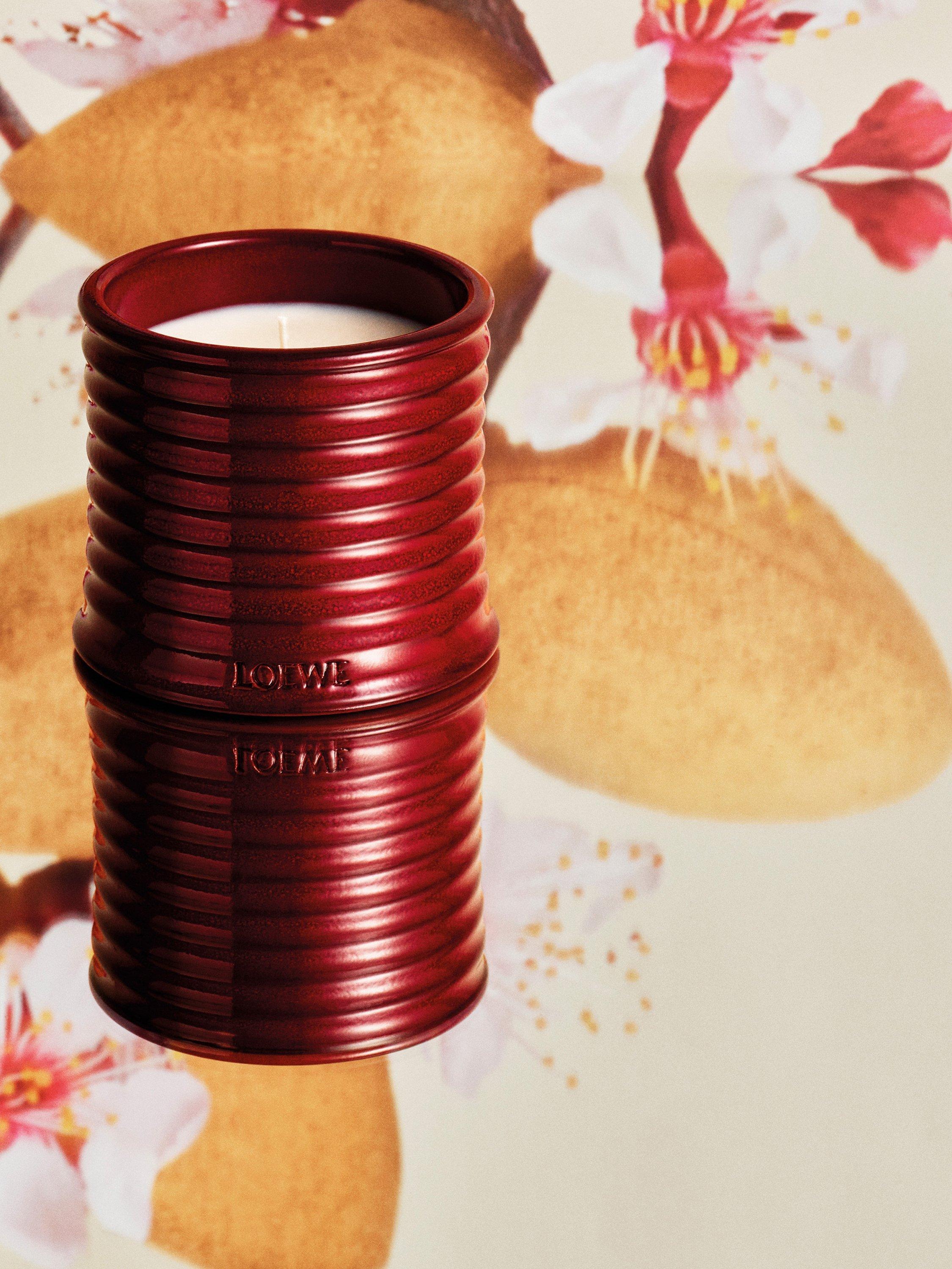 キャンドル LOEWE Scented Candle Sweet Almond 280g LOEWE Sweet Almond Midi Scented Candle, 280g