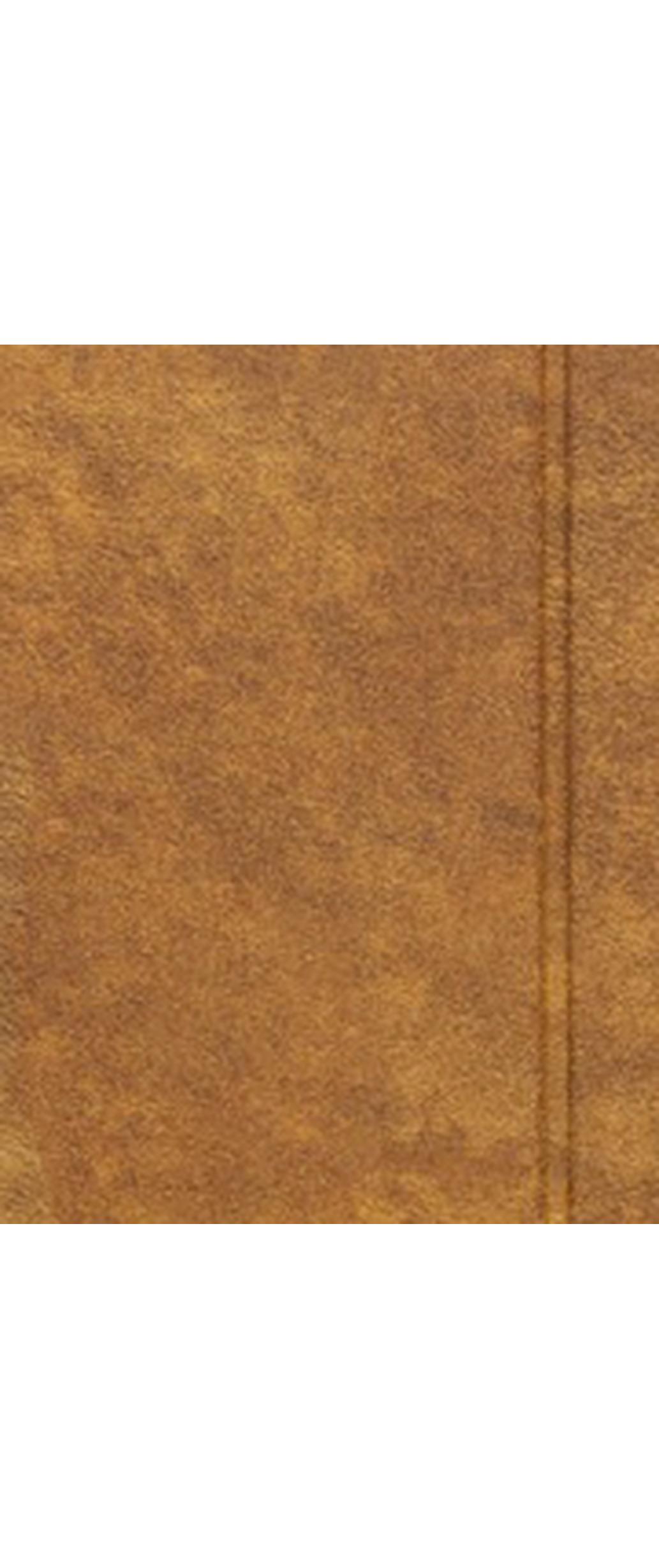 Adventurer Coyote Tan, not available