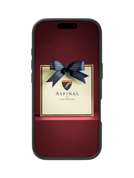 Aspinal of London iPhone 17 Pro Leather Case - view 2, Navy