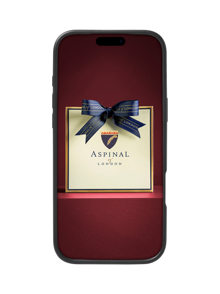 Aspinal of London iPhone 17 Pro Max Leather Case - view 2, Navy