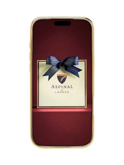Aspinal of London iPhone 17 Pro Max Leather Case, Evergreen - view 2, Evergreen