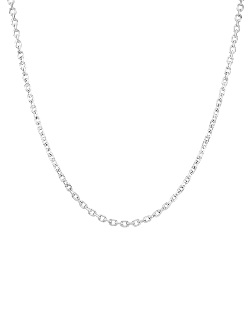 Product image 1 of 2, which shows Dinny Hall Signature Chunky Chain Necklace, Silver