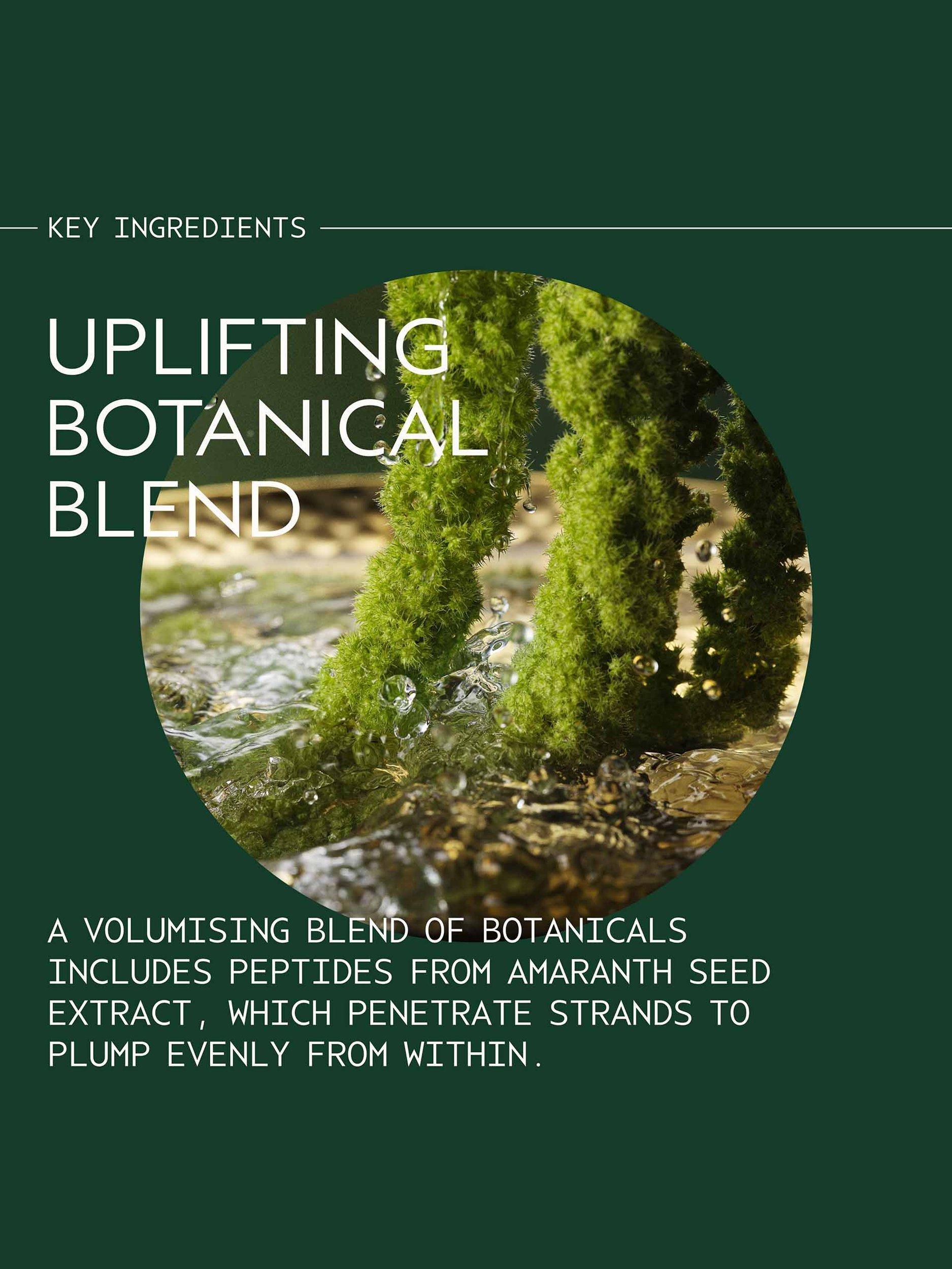 Product image 4 of 7, which shows Aveda Pure Abundance™ Volumising Conditioning Rinse, 150ml