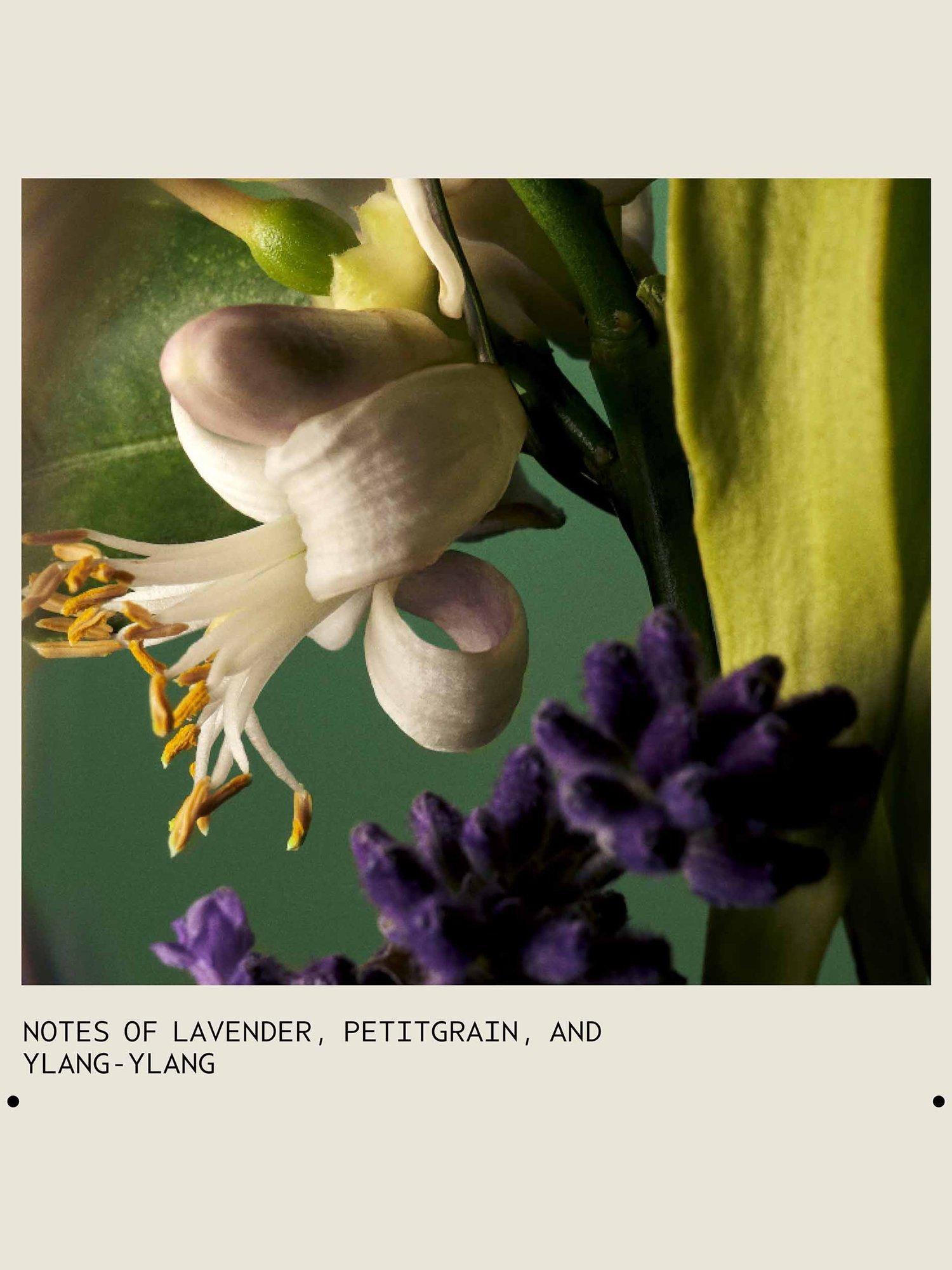 Product image 4 of 6, which shows Aveda Abundant Blow Out All-Over Volumising Spray, 150ml