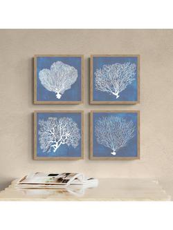 John Lewis Grace Popp Coral Framed Print, 32 x 32cm, Multi Multi - view 2, Multi Multi