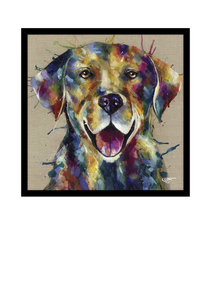 John Lewis Louise Luton 'Bella Labrador' Framed Print, 74 x 74cm, Multi Multi, Multi Multi