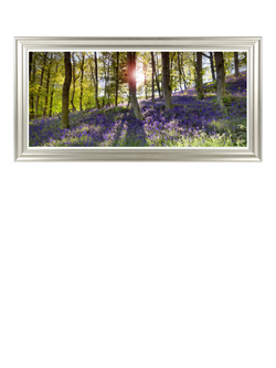 John Lewis Mike Shepherd  'Bluebell Woods' Photographic Print, 111 x 56cm, Multi, Multi Multi
