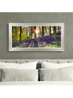 John Lewis Mike Shepherd  'Bluebell Woods' Photographic Print, 111 x 56cm, Multi - view 2, Multi Multi