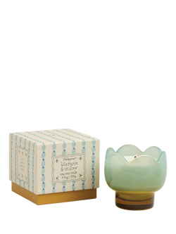 Paddywax Wisteria & Willow Tulip Scented Candle, 541g, Blue