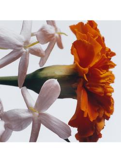 Jo Malone London Jasmine Sambac & Marigold Cologne Intense - view 2, 