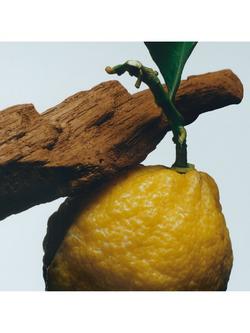 Jo Malone London Oud & Bergamot Cologne Intense - view 2, 