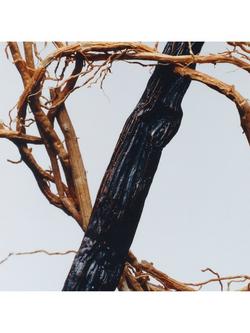 Jo Malone London Vetiver & Golden Vanilla Cologne Intense - view 2, 