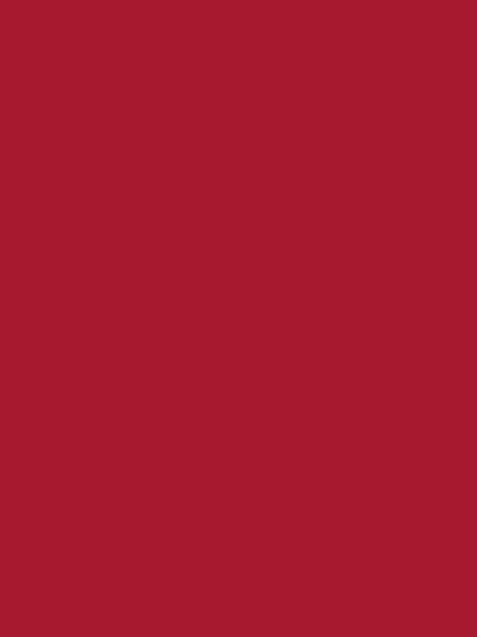 Cricut Joy™ Smart Iron-On™, Red, L60.9cm - view 2, Red