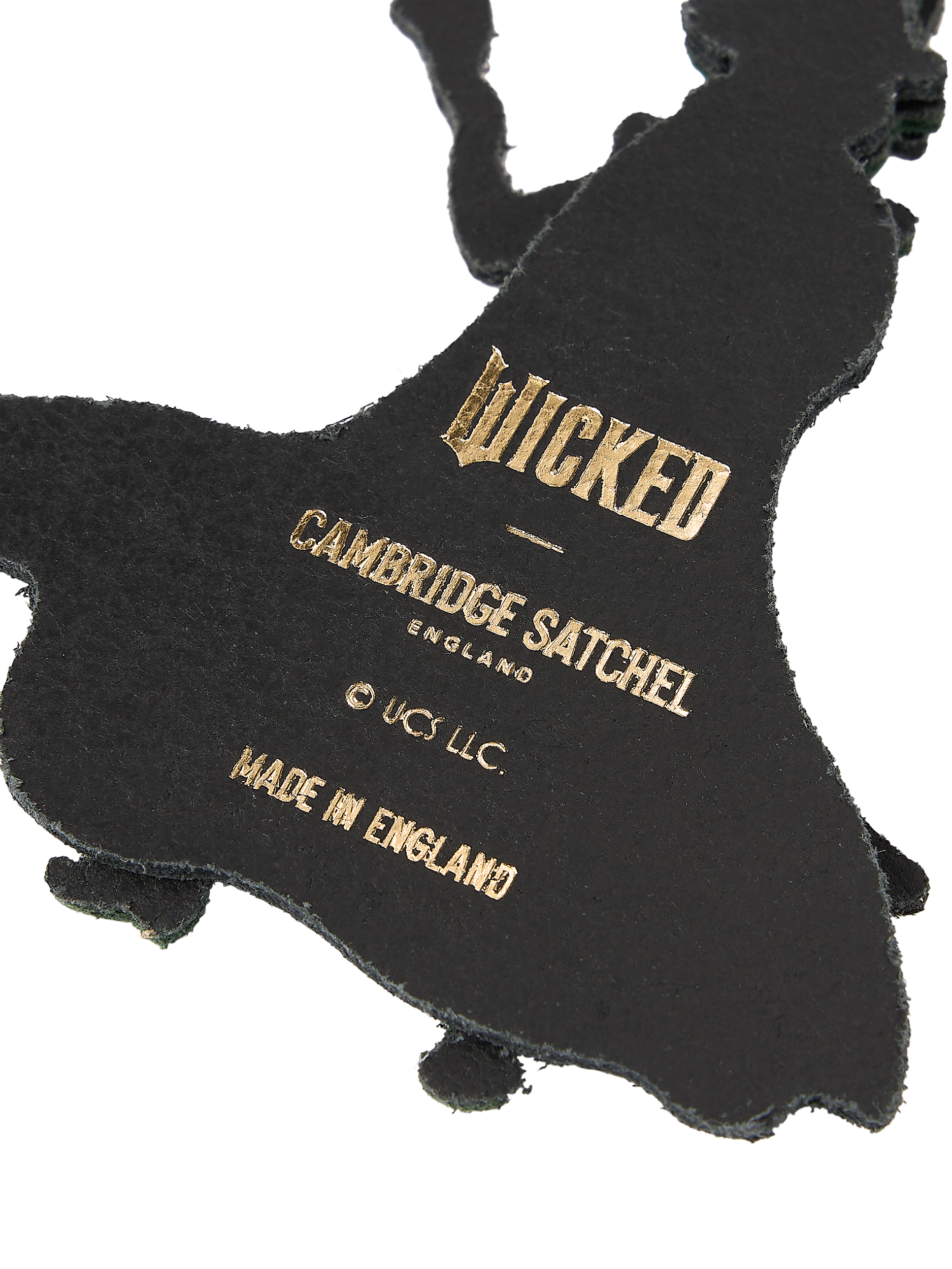 Product image 5 of 5, which shows Cambridge Satchel Leather Wicked Charm, Elphaba Black