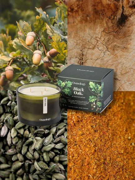 Osmology by Aery Black Oak Three Wick Scented Candle, 1.1kg - view 2, Green