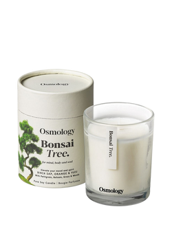 Osmology by Aery Bonsai Tree Scented Candle, 600g, White