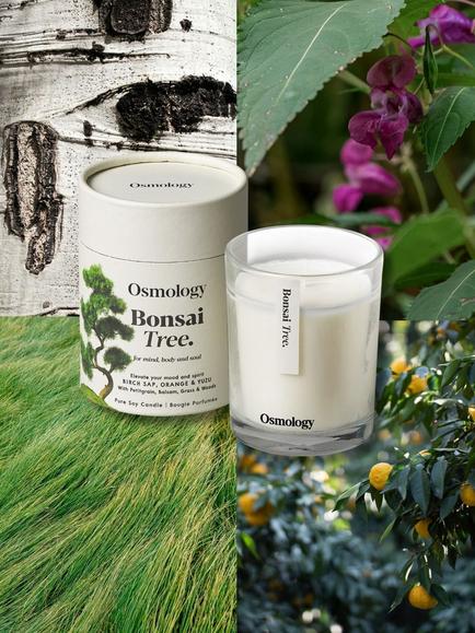 Osmology by Aery Bonsai Tree Scented Candle, 200g - view 2, White