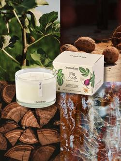 Osmology by Aery Fig Leaf Three Wick Scented Candle, 1.1kg - view 2, White