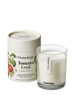 Osmology by Aery Tomato Leaf Scented Candle, 200g, White