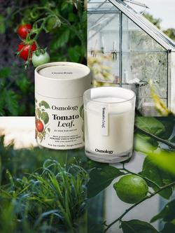 Osmology by Aery Tomato Leaf Scented Candle, 200g - view 2, White