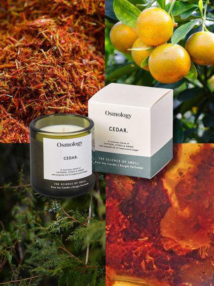 Osmology by Aery Utility Cedar Scented Candle, 200g - view 2, Green